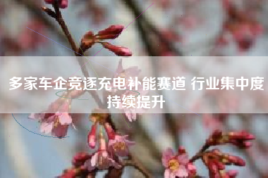 多家车企竞逐充电补能赛道 行业集中度持续提升