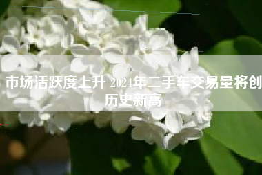 市场活跃度上升 2024年二手车交易量将创历史新高