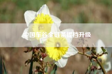 中国车谷全链条提档升级