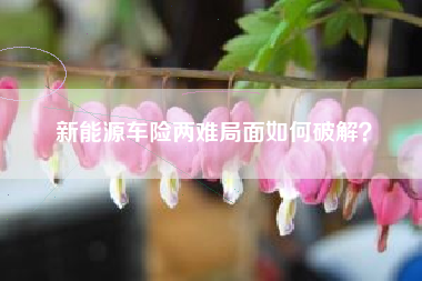 新能源车险两难局面如何破解？