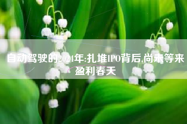 自动驾驶的2024年:扎堆IPO背后,尚未等来盈利春天