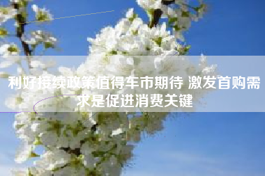 利好接续政策值得车市期待 激发首购需求是促进消费关键