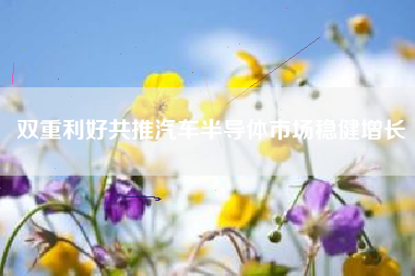 双重利好共推汽车半导体市场稳健增长