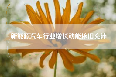 新能源汽车行业增长动能依旧充沛