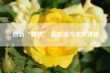 创新“智造” 新能源汽车加速跑