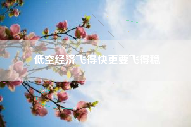 低空经济飞得快更要飞得稳