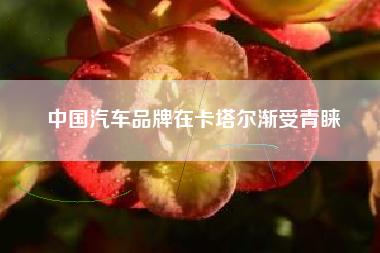中国汽车品牌在卡塔尔渐受青睐
