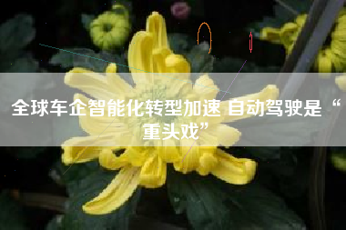 全球车企智能化转型加速 自动驾驶是“重头戏”